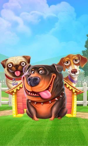 The Dog House slot by Pragmatic Play at Rockyspin